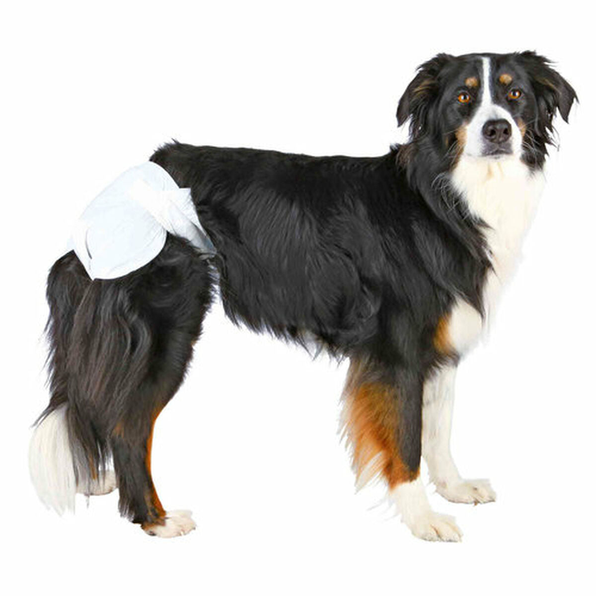V7HE291557D677454921285C00D1D86D3A2R7443764P4
