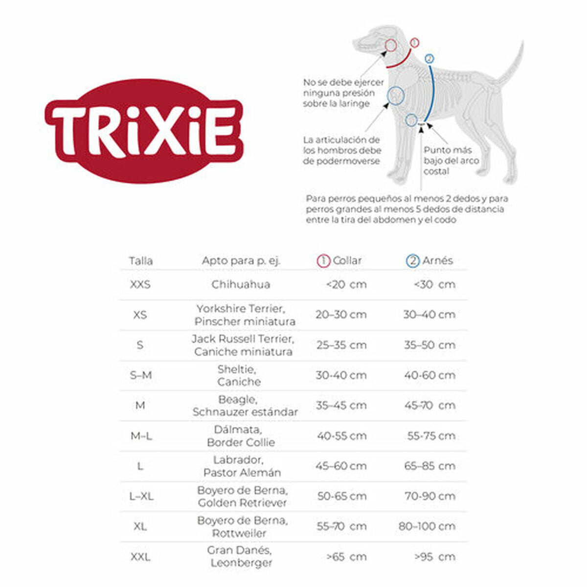 V6HB58648A4C301FEBDA614625BD2CE09D9R7459311P4