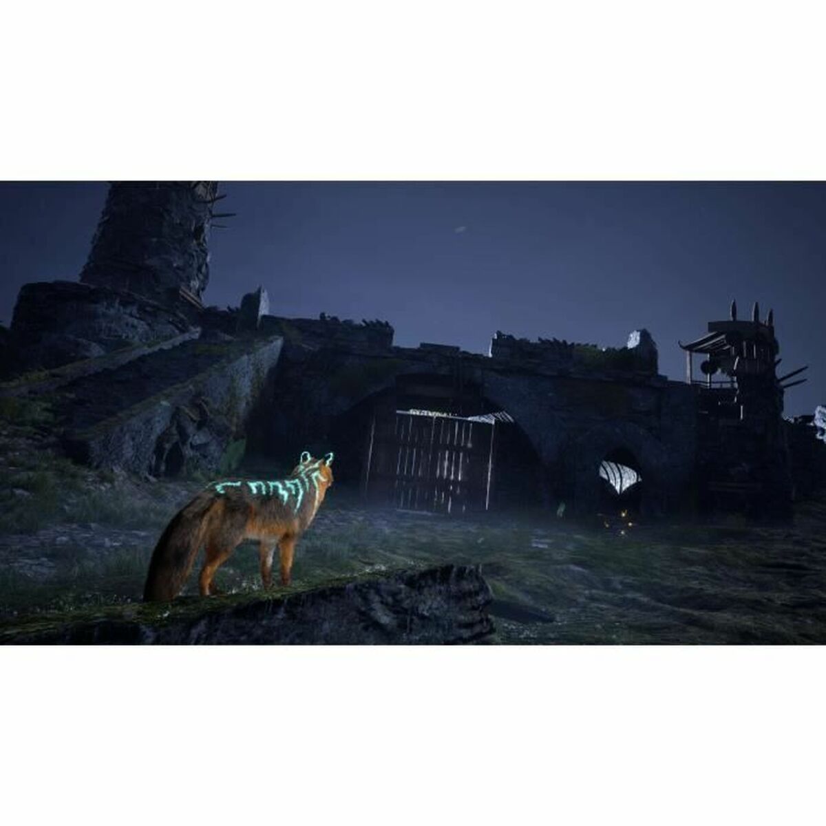 V3H2E9F50AC864487896FD076CC7C46630AR5781053P6