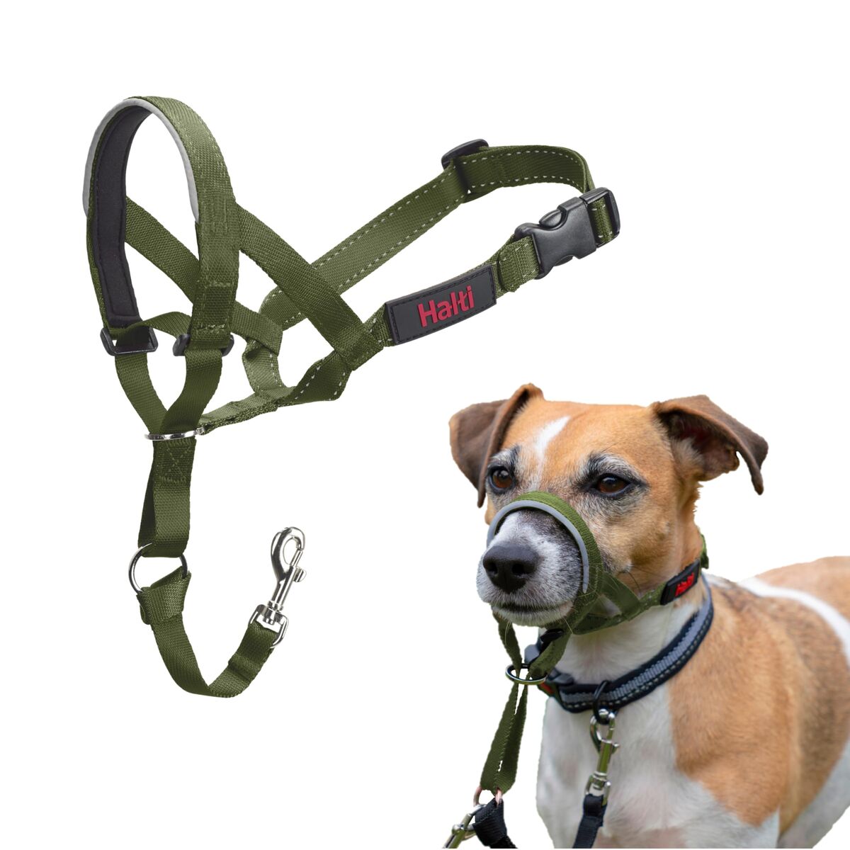 Muzzles