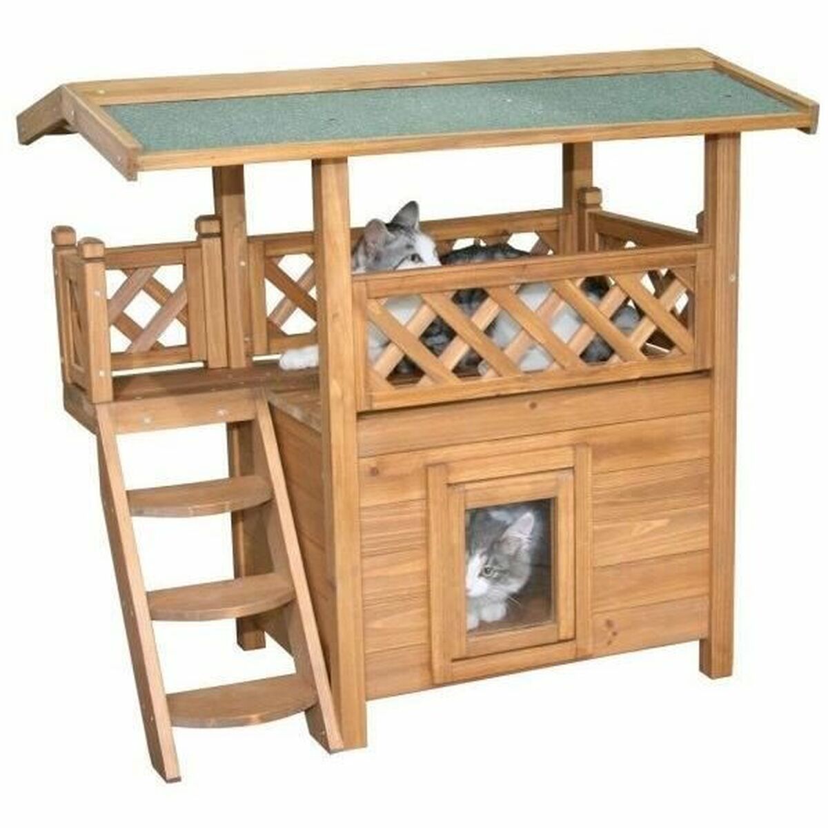Cat houses and condos