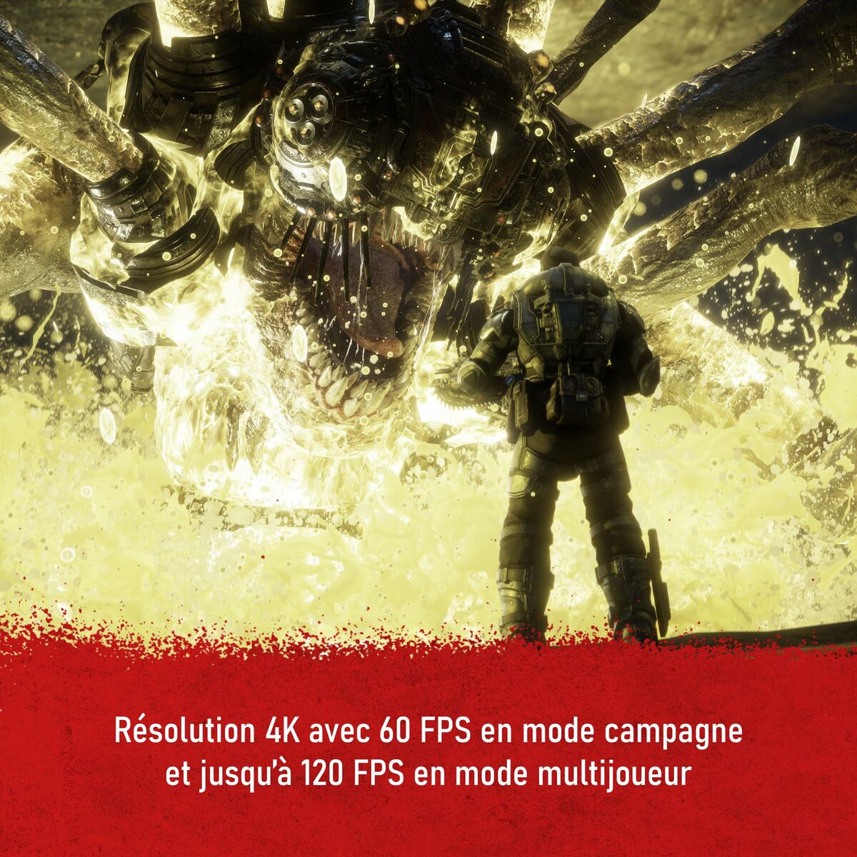 V2HA8D28F28AA0E29E2318F6229B759CABDR6811072P8