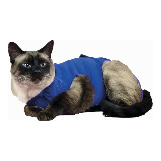 V12HA0A8FD3C4C031E1511E9813D08CBE201R2350561P1