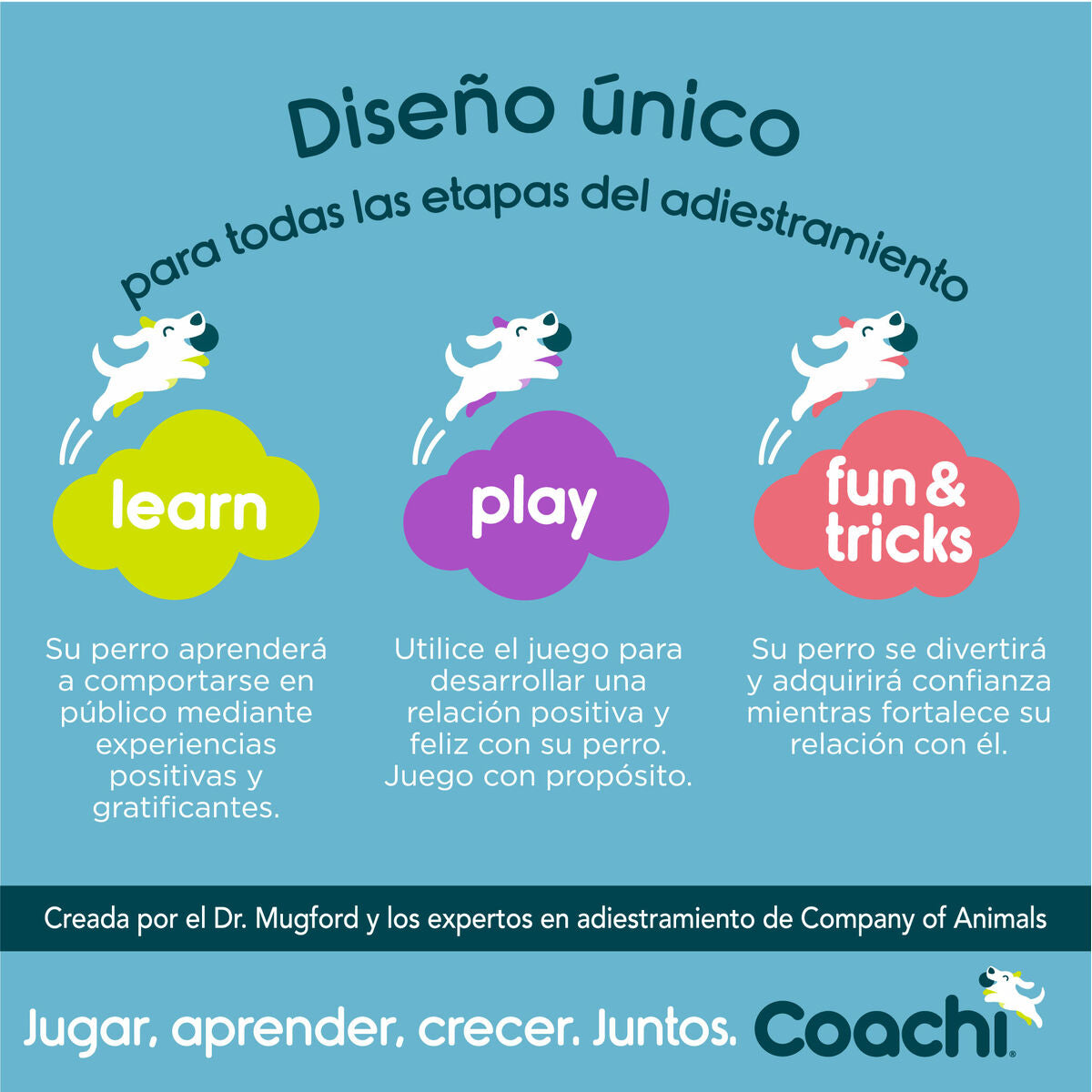 V8H4231304A9754C4D247ECDF607C7FF7D5R3709028P5