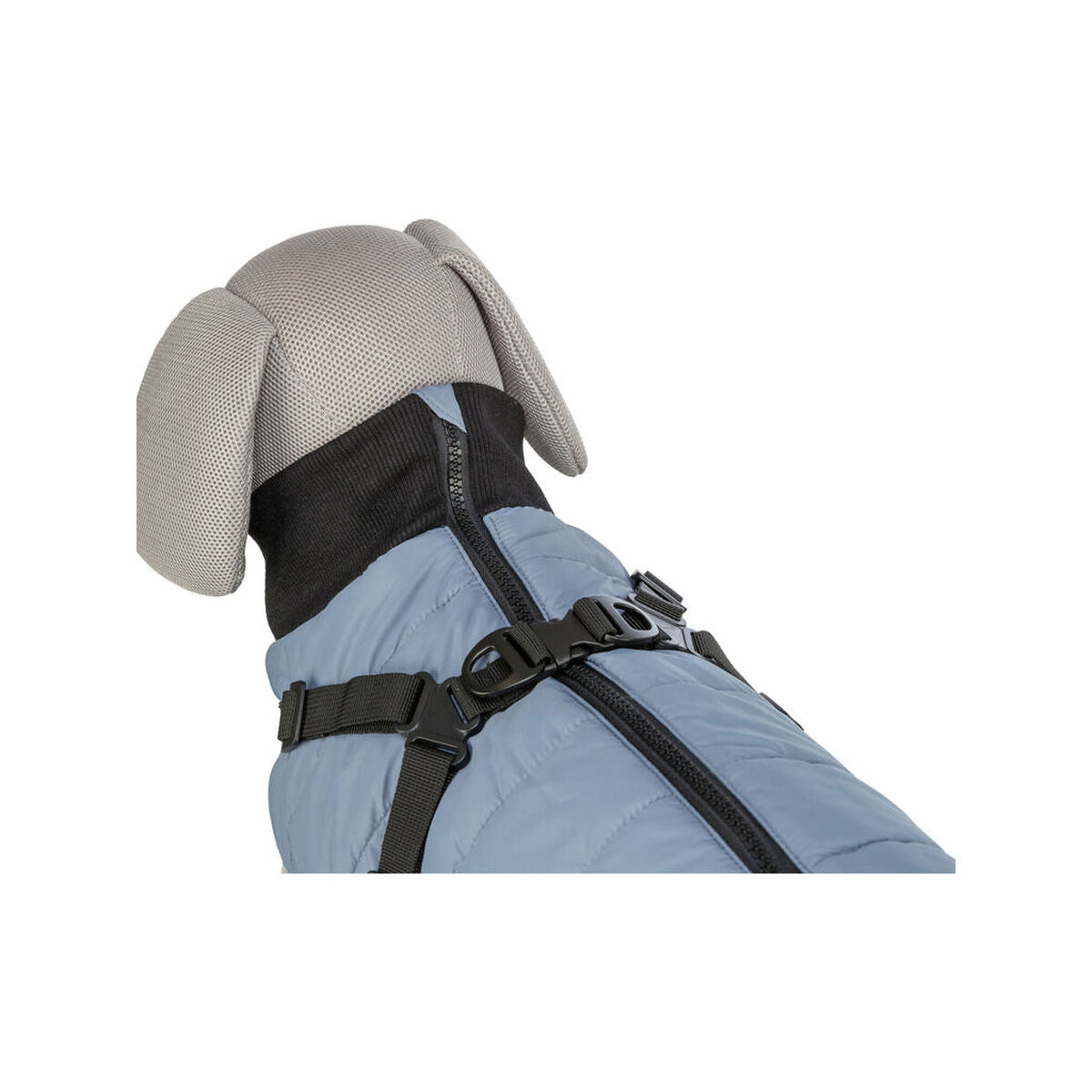 V5HF5F9389B0C35778771248744F36AE97AR7454228P7