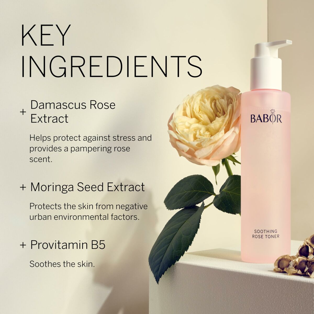 V7H6196F23E33689416148854BBC59D1F48R7056736P3