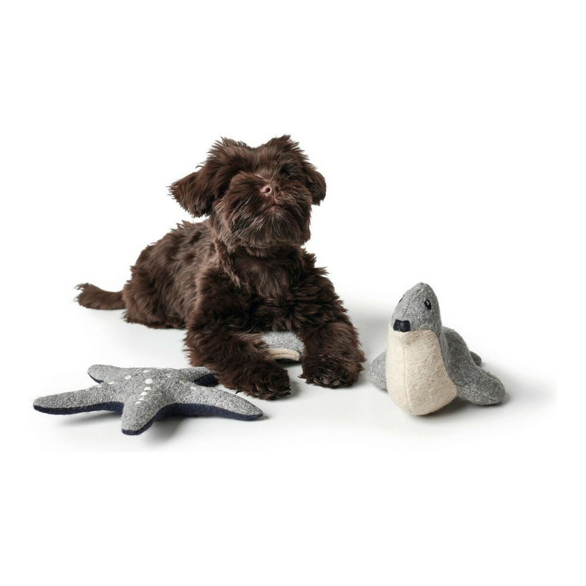 V12HC981B5E42CBF1512DED411458C45D4D6R5568105P4