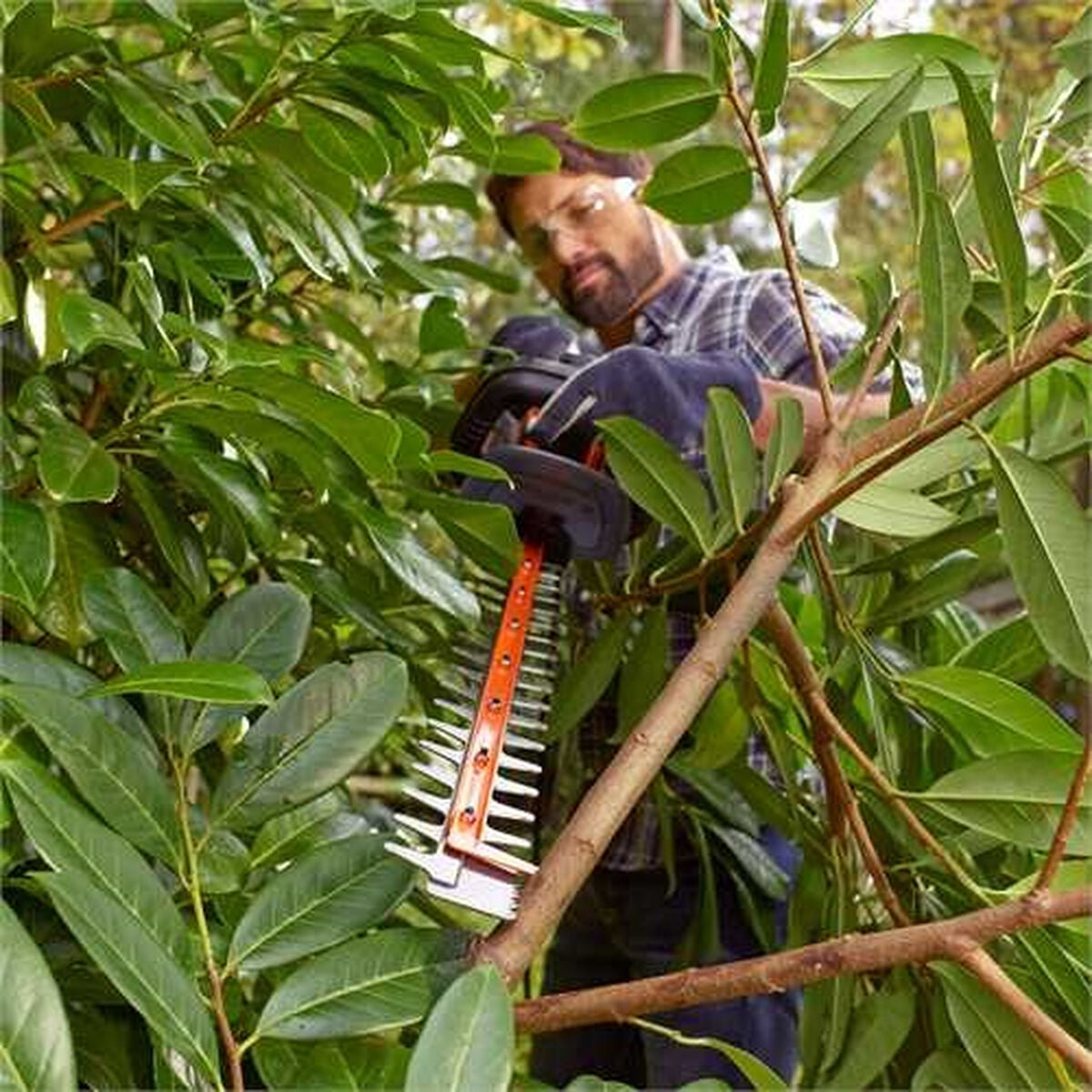 V12H6AFA4A709320E6E259239BF9C1DD4658R3450858P4