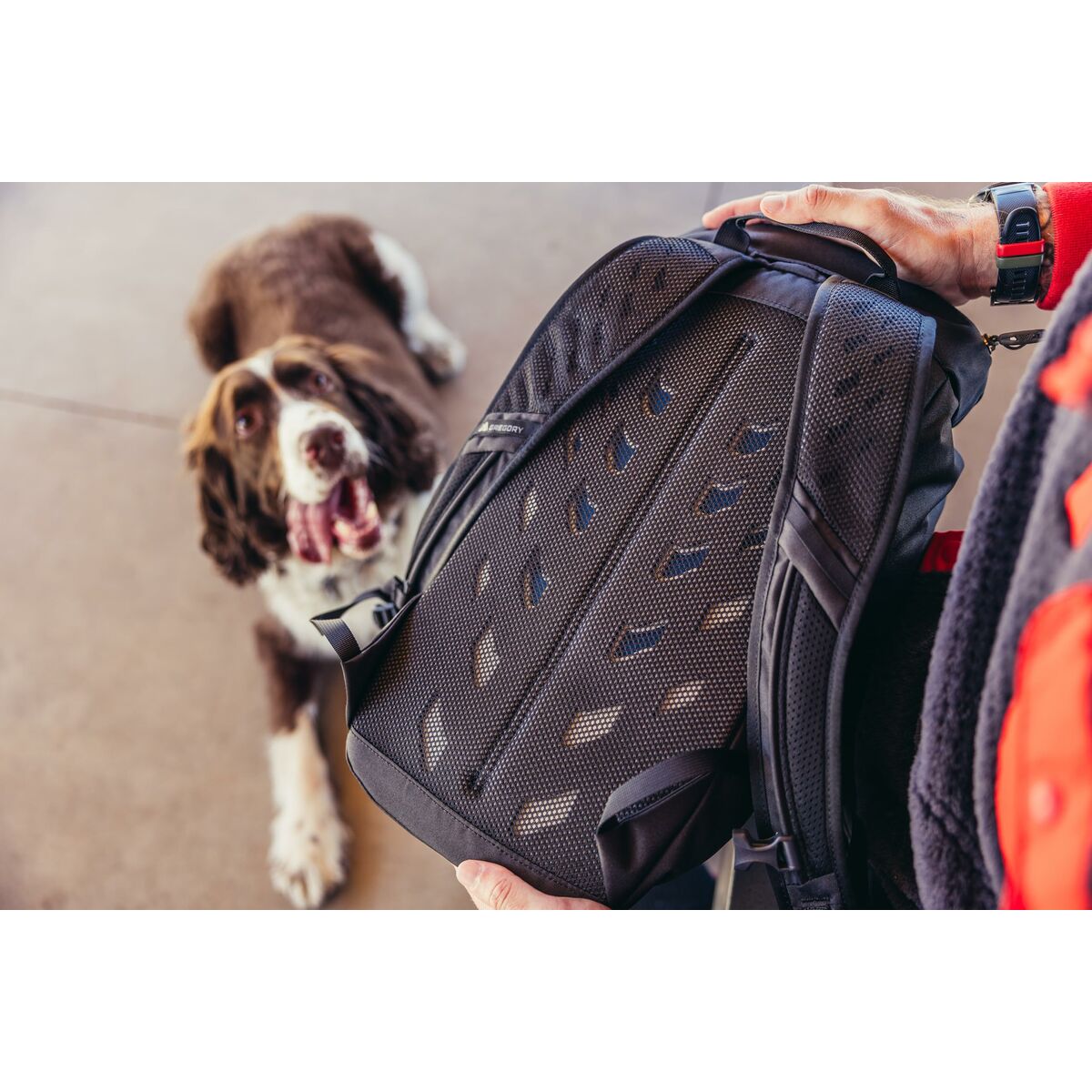 V6HA8D86C3F08B76DBB0C9E647454E8D6EAR6420840P4