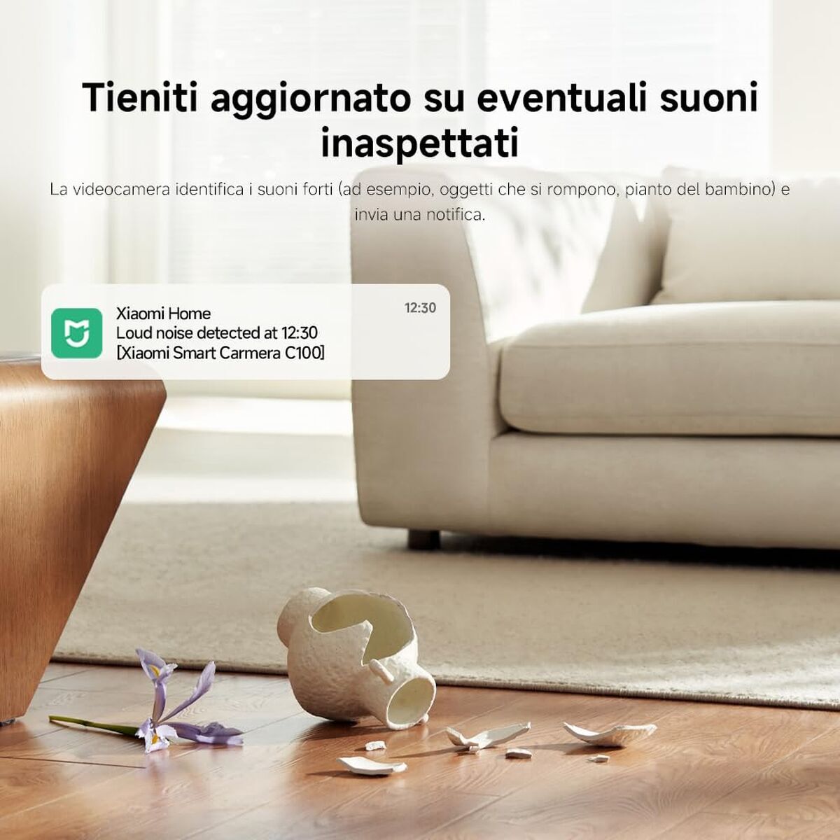 V3H02300F6D00C1A913060E9827C1E95581R7589919P10