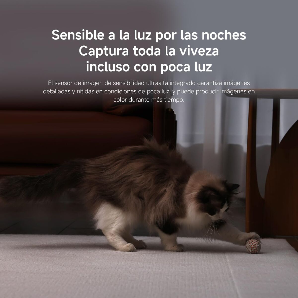 V2HC19BF145E5F549592CDDDBD62F2A843ER7732313P3