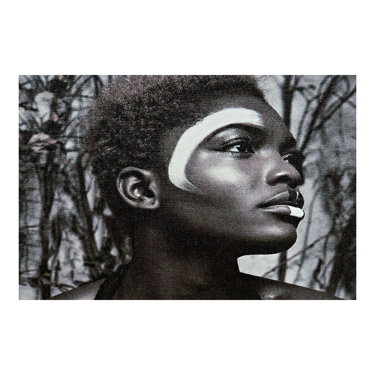 V13HED3E23F65F2B1F4688DFE5BB2E29DD3FR6558035P3