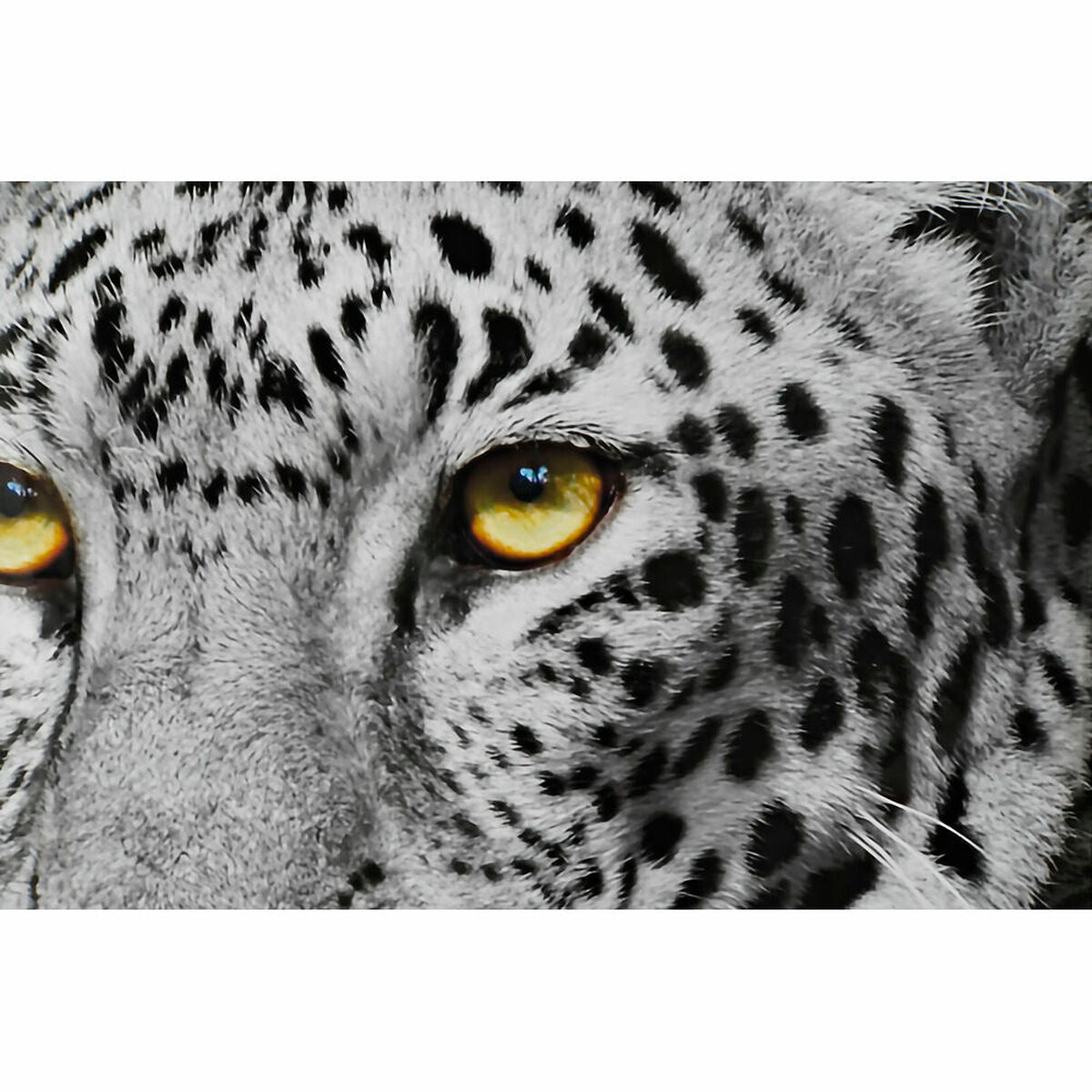 V13H52C89200E7E4142A776244EC9CA294D4R6373344P2