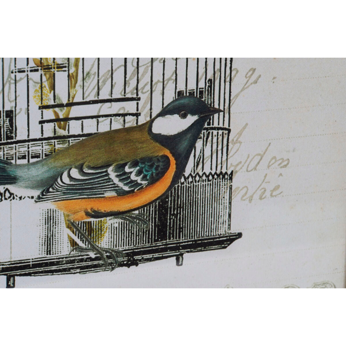 V16H5AEB149C4F18C036A55B35DE5E28E482R6585712P2