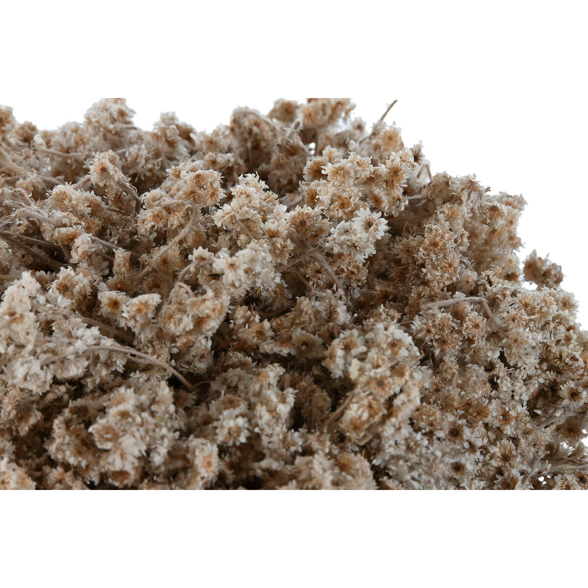 V6HF531E843DE66D958AC479A802C19BFCER4456792P2