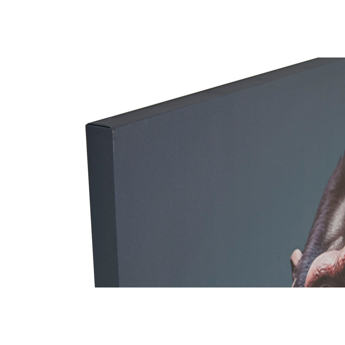 V9H0E06AE65ECFDD376C52F6E9D58010697R6592021P2