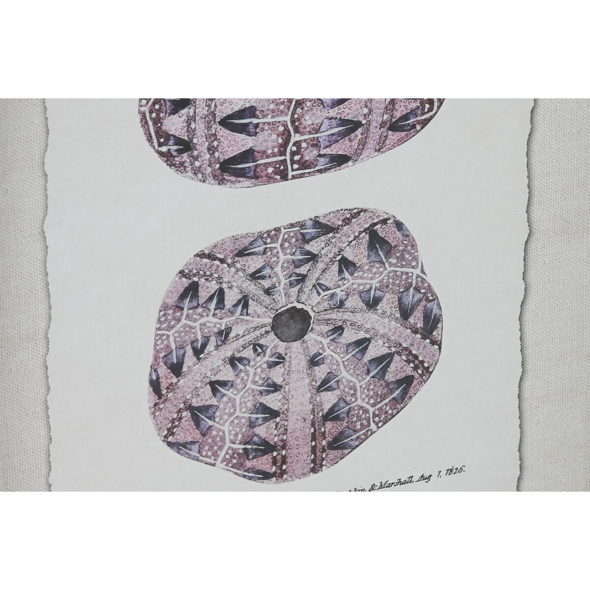 V8HA5A2DE41A908F0F47F1CB6FD8FB62C65R6372717P3