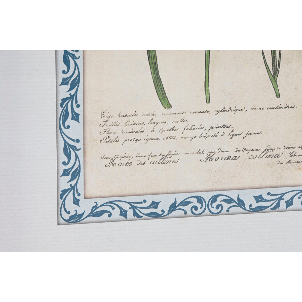 V7H4A2412999C34EA938C47F2BA4CD17086R6372107P3