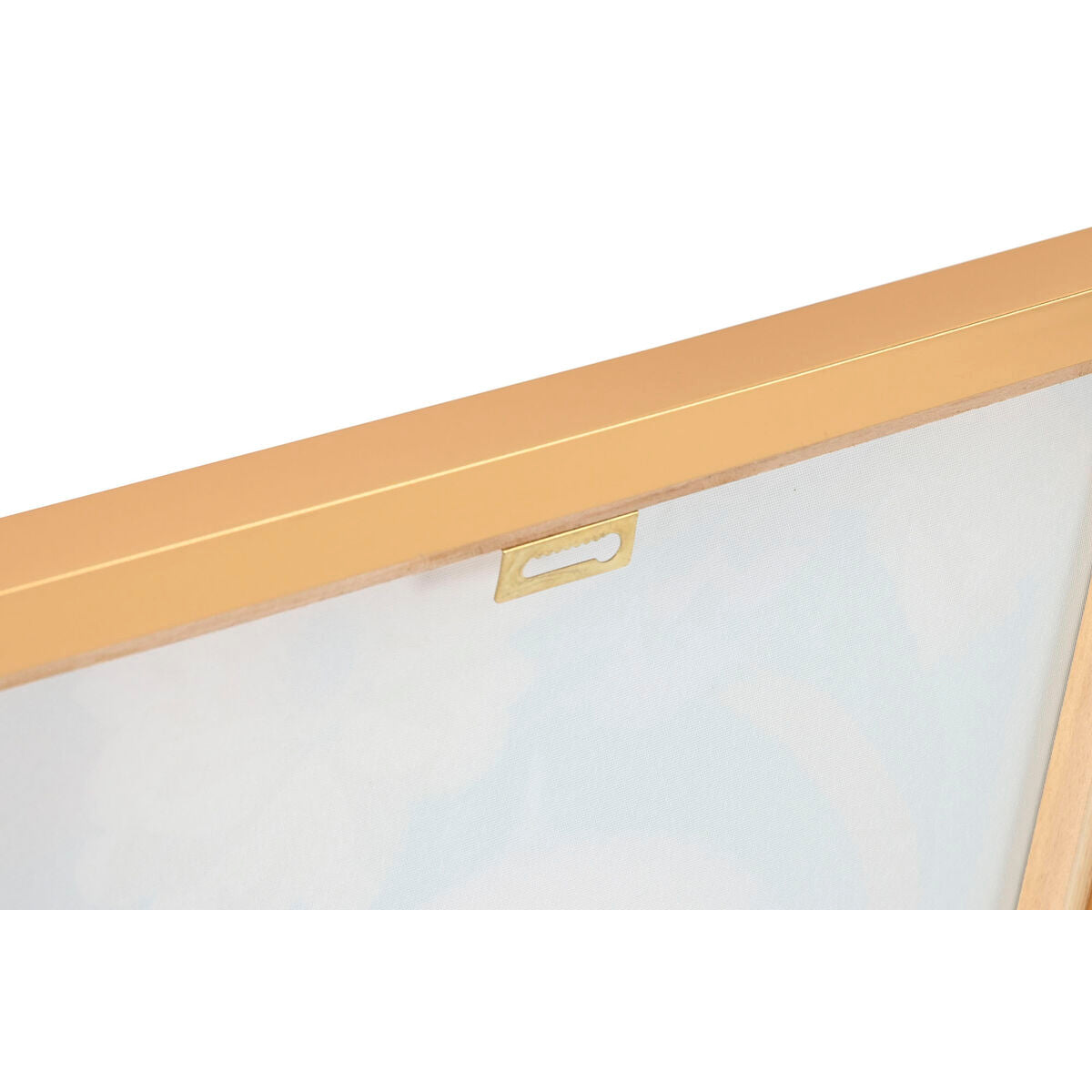 V5HA3038E1446318FCFD134E0DF3FD20968R5620469P4