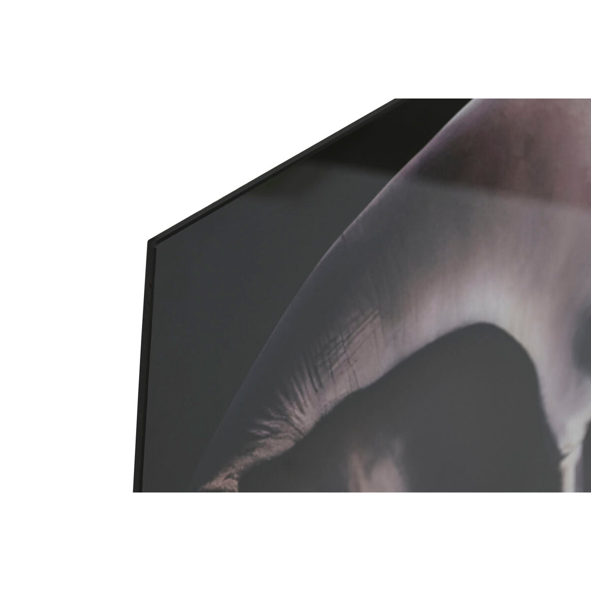 V7HD1C8AF1721BC977E95997F0954923E06R6373146P2