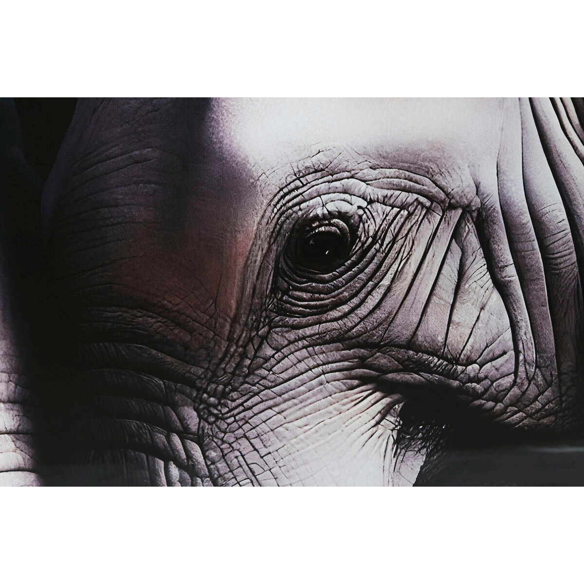 V7HD8455B5CD53F2D13102131529DB5AE99R6373147P3