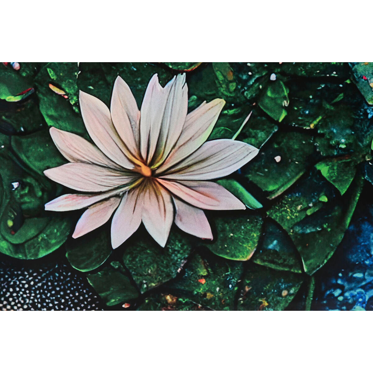 V6HB2619BE10D872E534230A5F0193EBE33R6316465P3