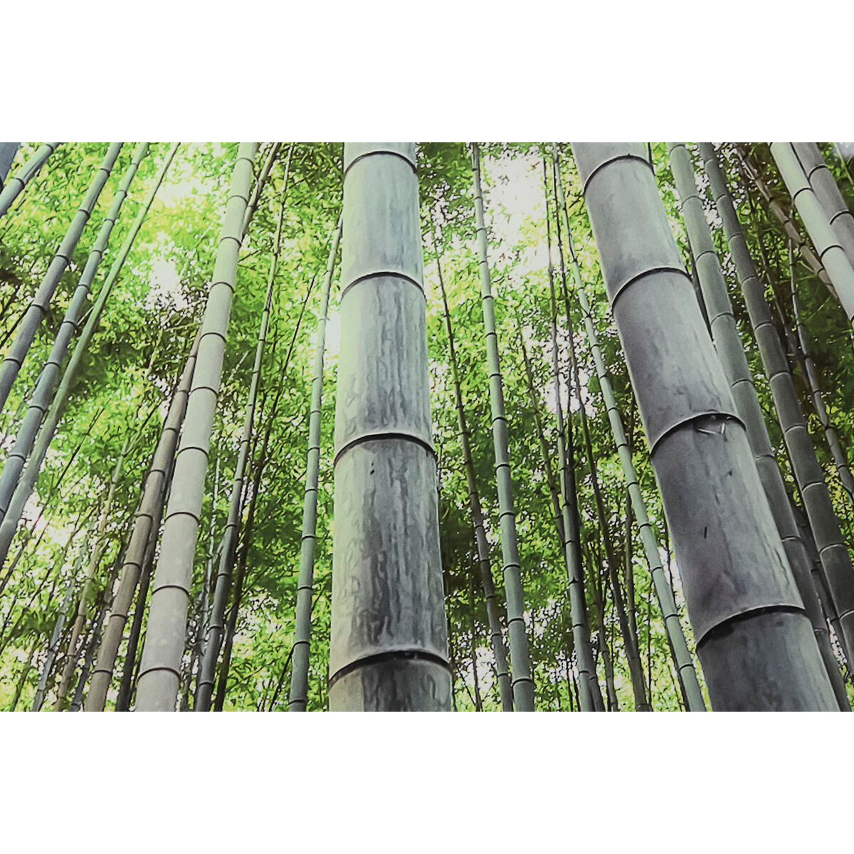 V7H8DFEE6D2C125F126D2F6B9B79C3C8A6BR6373240P3