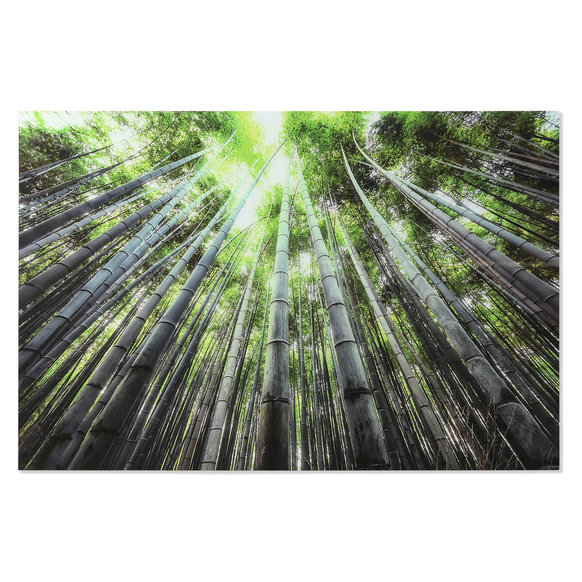 V7HE3A1B56DB1336861D394C81D714474F7R6373237P1