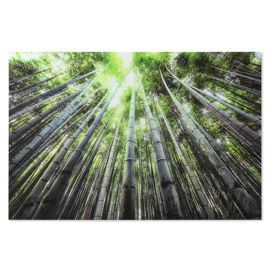 V7HE3A1B56DB1336861D394C81D714474F7R6373237P1