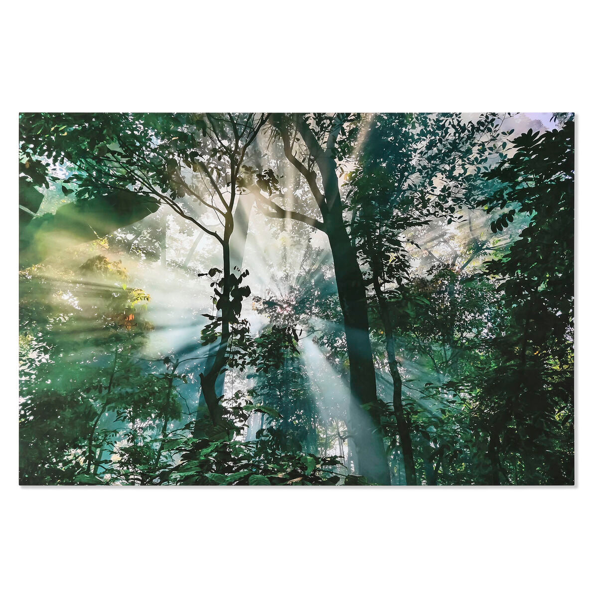 V7HBD14B40FBA0F91980D1ED2F4D3A49DC5R6373186P1