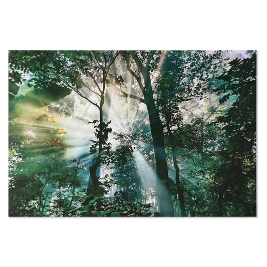 V7HBD14B40FBA0F91980D1ED2F4D3A49DC5R6373186P1