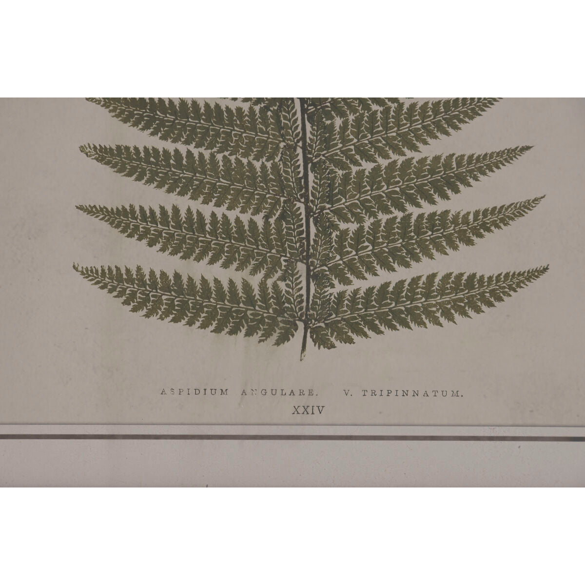 V3HB84321E047DE7247B804F1C421077A59R7429297P3