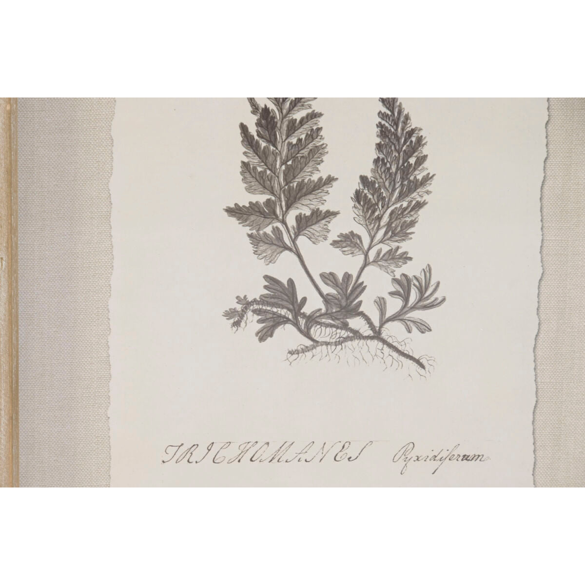 V3HD50A711DD2AF01BEE72040435CFD4CE6R7430172P3