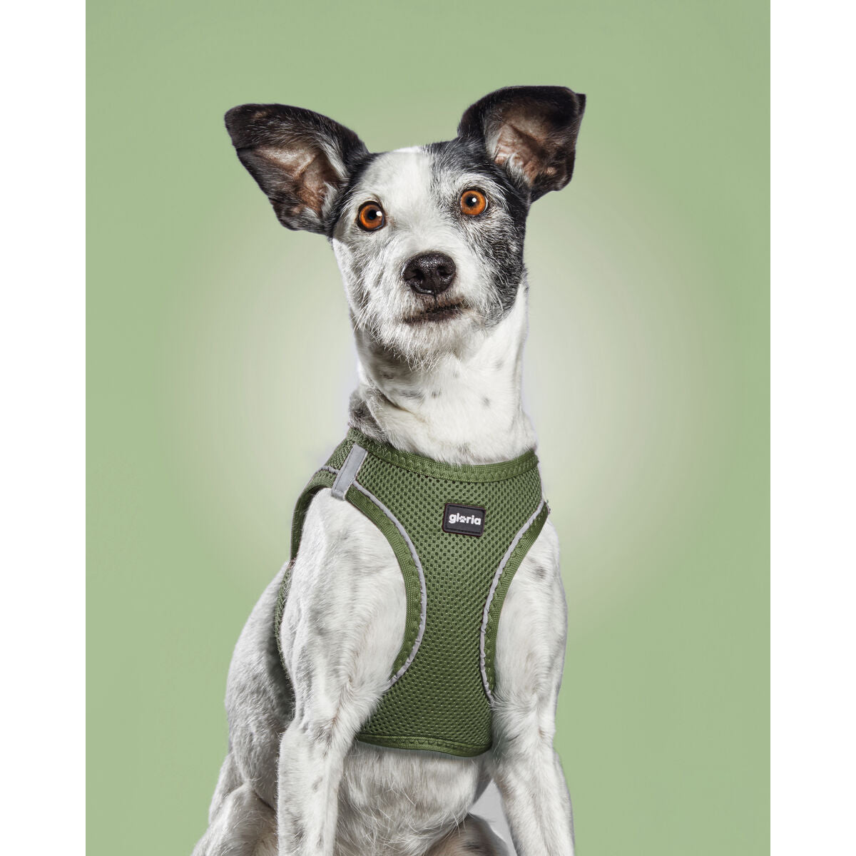 V8HC03A199F95BCD7E40AF7CCE256898A00R3627763P6