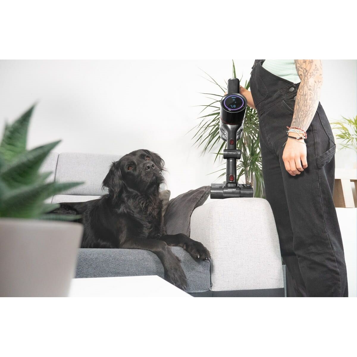 V7H36A8722544F389425B6037B3BC2D3B93R6413095P9